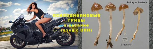 молекула духа Богородск