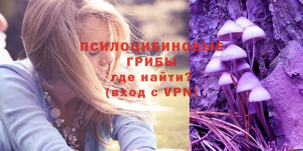 амф Богородицк