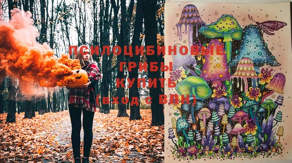молекула духа Богородск