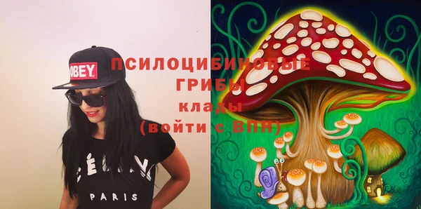 молекула духа Богородск