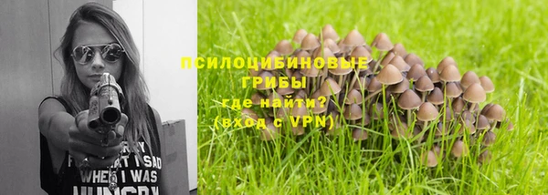 кокаин Богданович