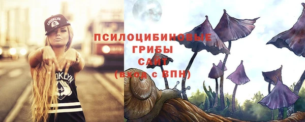 кокаин Богданович