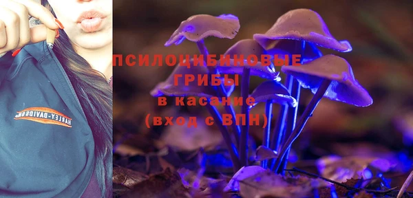 кокаин Богданович