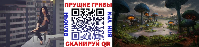 сколько стоит  Верхний Тагил  Галлюциногенные грибы Magic Shrooms 