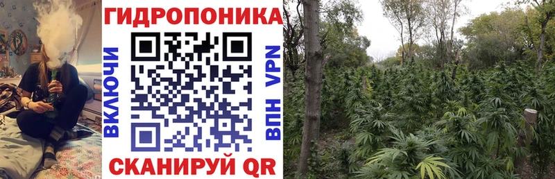 Канабис семена Верхний Тагил